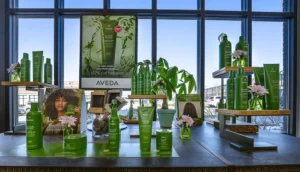 A display of Aveda hair care products in green bottles and tubes, arranged on wooden shelves with decorative plants and flowers, set against large windows. - Mango Salon, VA