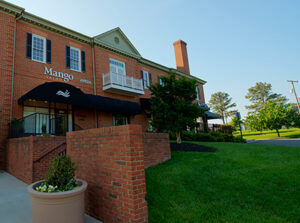 4 (1) A brick building houses Mango Salon, with black awnings and a landscaped lawn under a clear blue sky. - Mango Salon, VA