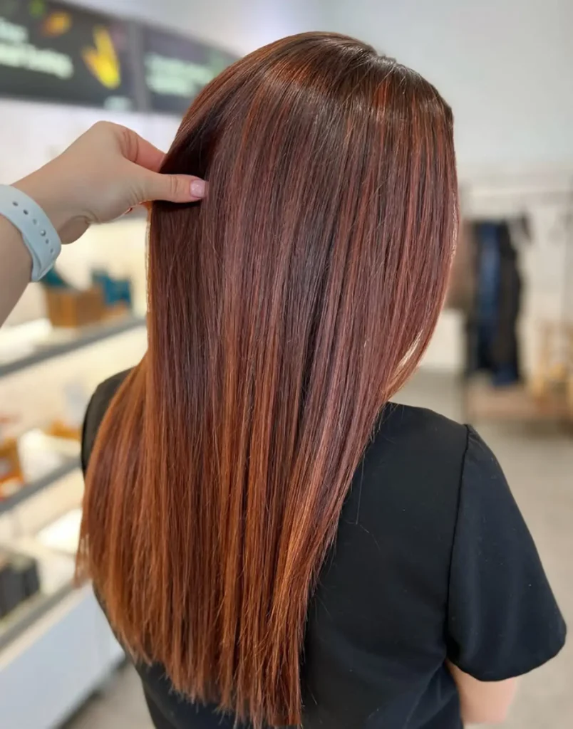 A person with straight, shiny, reddish-brown hair is shown from behind while someone lifts a section of their hair in a well-lit indoor setting. - Mango Salon, VA